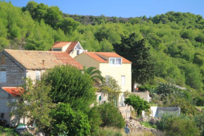 Apartments with a swimming pool Rukavac, Vis - 8851